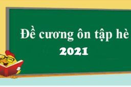 Đề cương ôn tập hè 2021