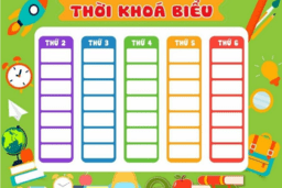 Thời khóa biểu học thêm buổi chiều năm học 2023 - 2024