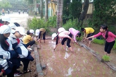 Hoạt động trải nghiệm